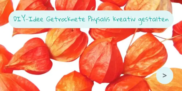 DIY Getrocknete Physalis kreativ gestalten