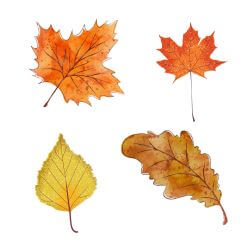 Herbstblätter mit Glitterrand basteln