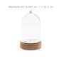 Preview: Dekohaube Acryl mit MDF-Sockel - Höhe 13,5 cm