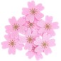 Preview: Filzstreu Kirschblüte dunkelpink 8 Stück von Rico Design