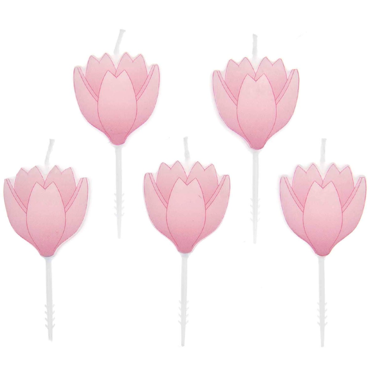 Kerzen Kirschblüte 5 Stück