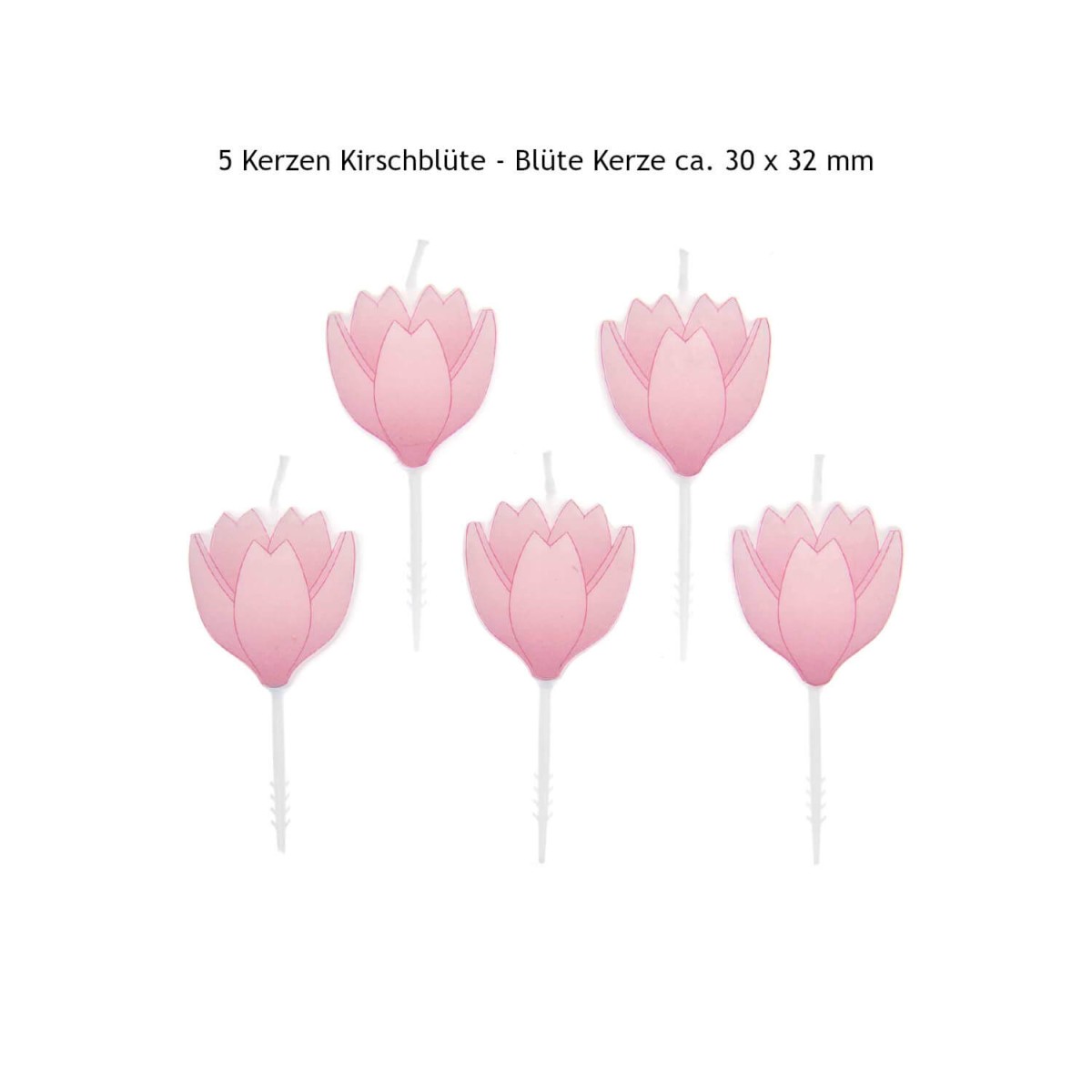 Kerzen Kirschblüte Größe Blüte ca. 30 x 32 mm