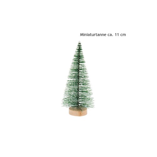 Miniatur-Tanne 11 cm Höhe